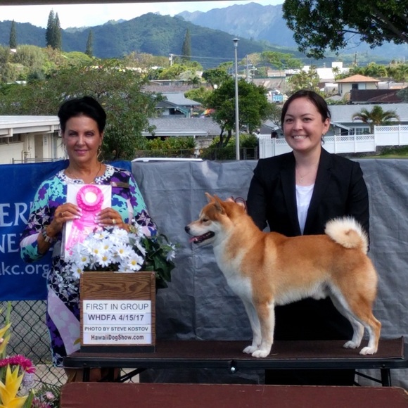 Meet your Posher, Eileen - Picture 2 of 7